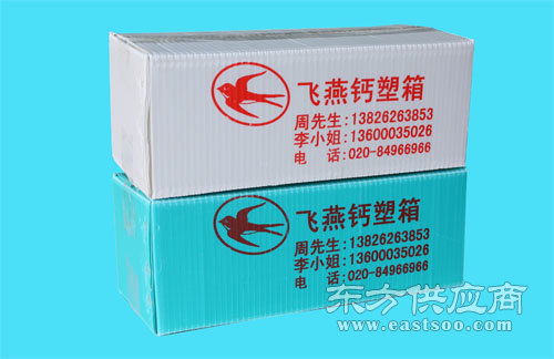 广州钙塑蔬菜箱 深圳钙塑蔬菜箱直销 飞燕塑胶制品图片